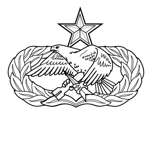 air force maintenance badges